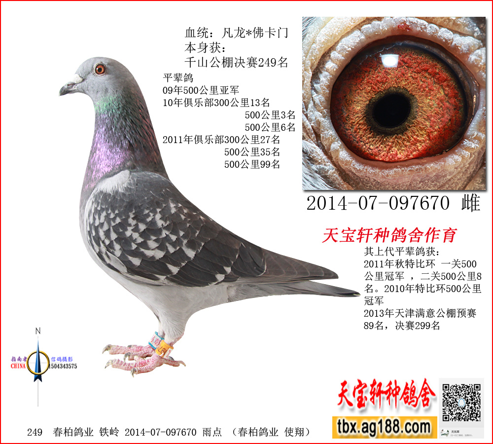 �|��ǧɽ����Qِ249��