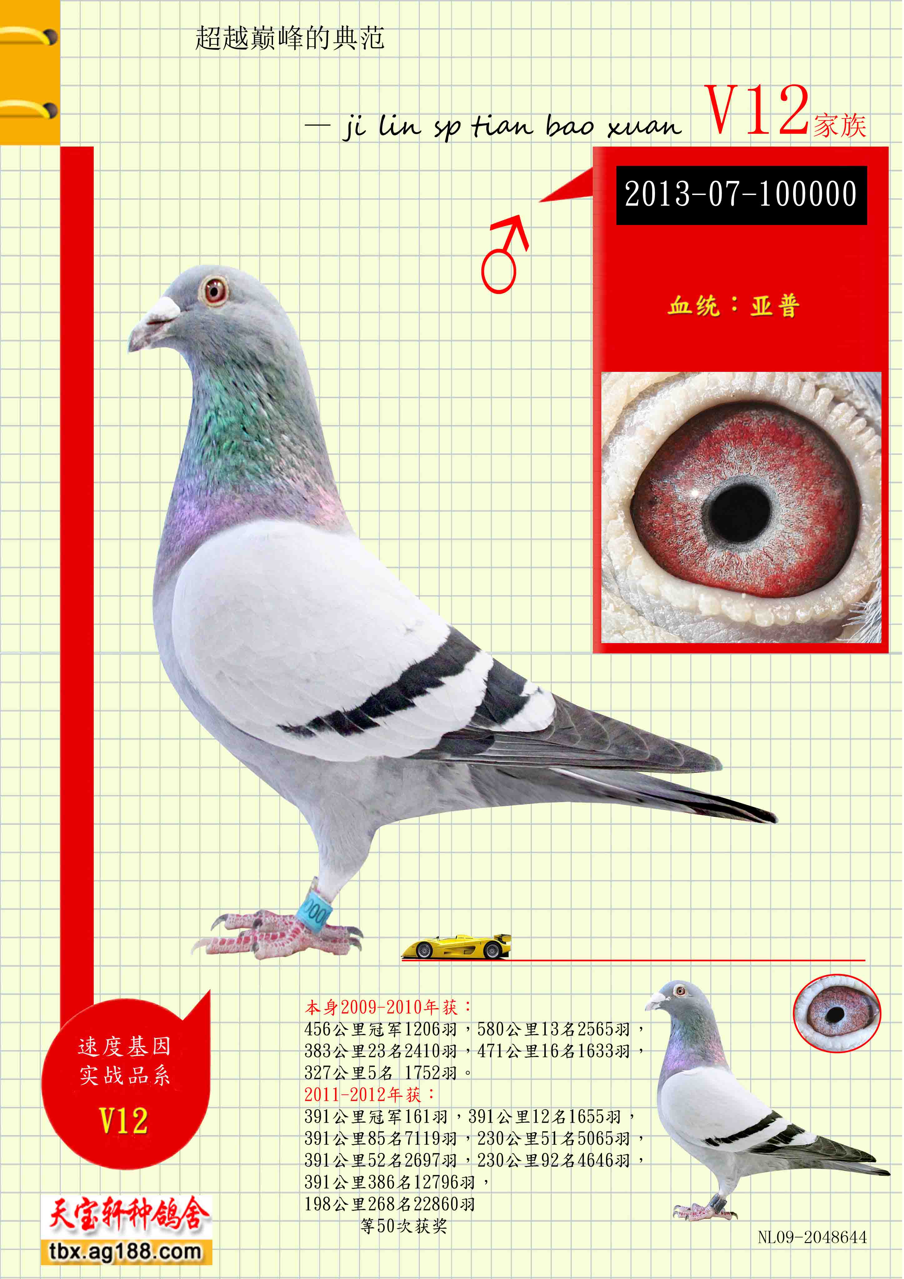 ����.�ƻ���