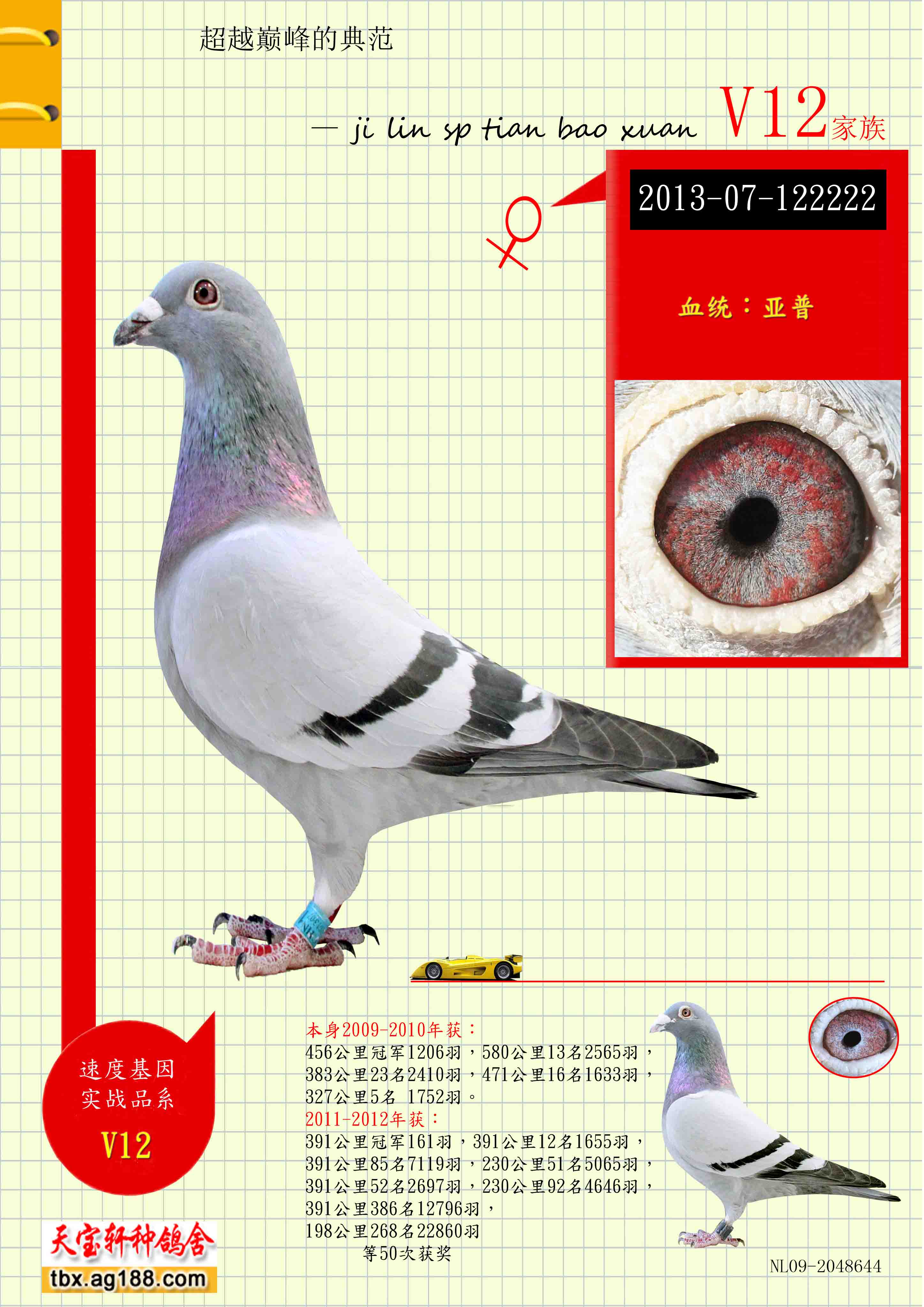 ����.�ƻ���