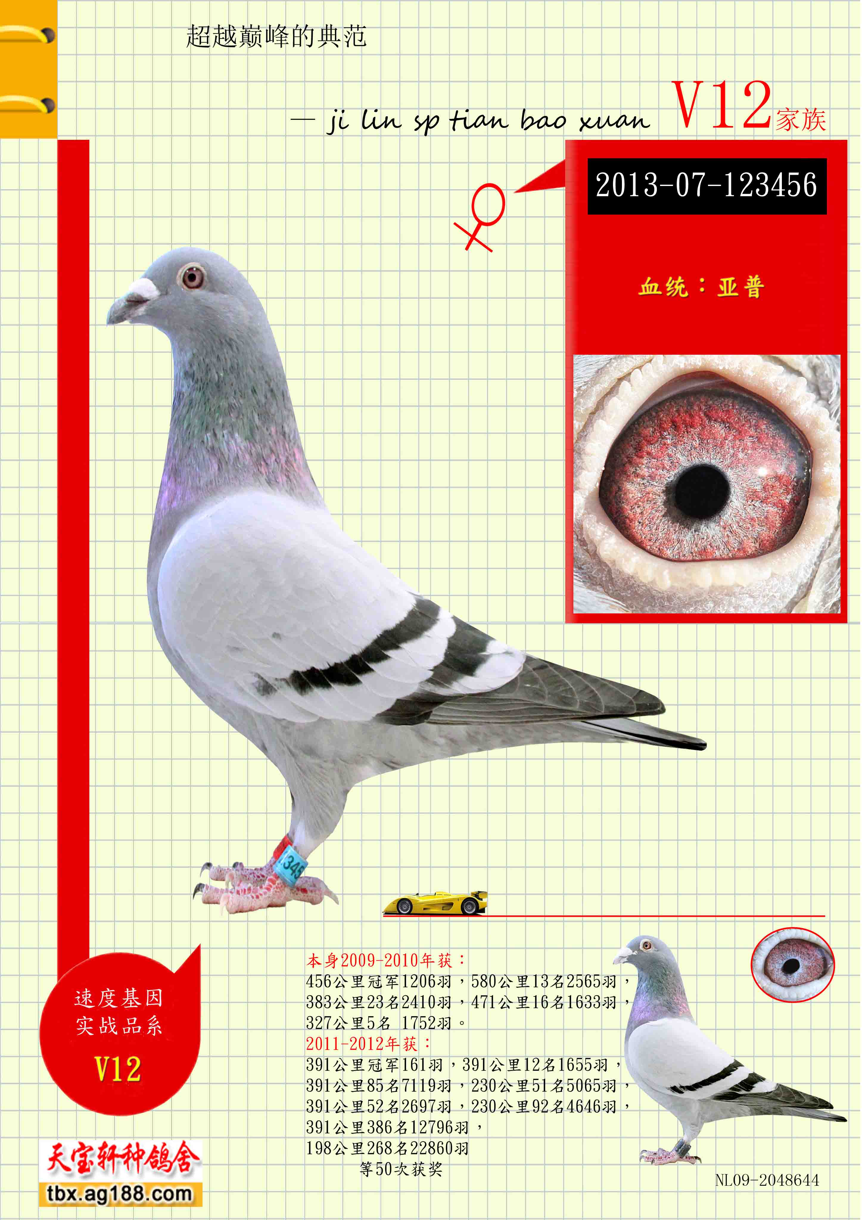 ����.�ƻ���