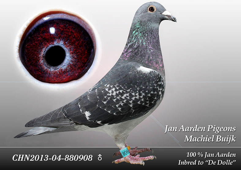 CHN2013-04-880908