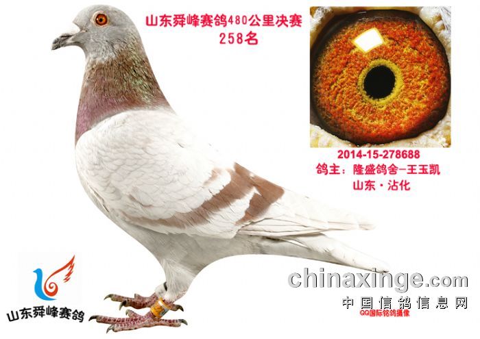 ����񽱸�����