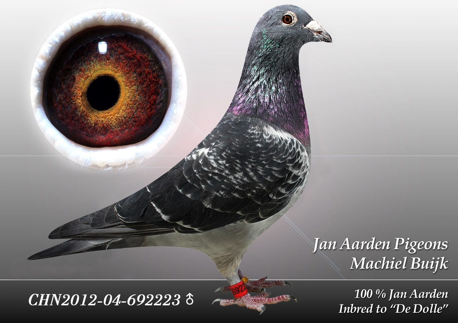 CHN2012-04-692223