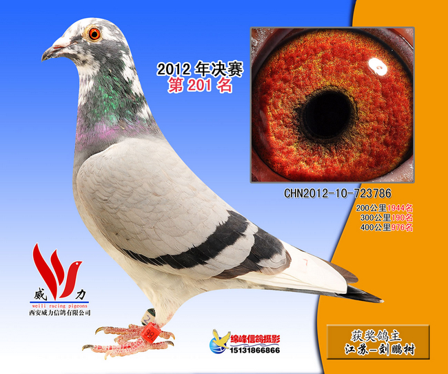 Qِ201