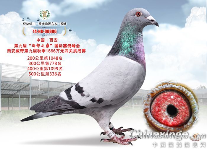 湫2014＾Qِ336