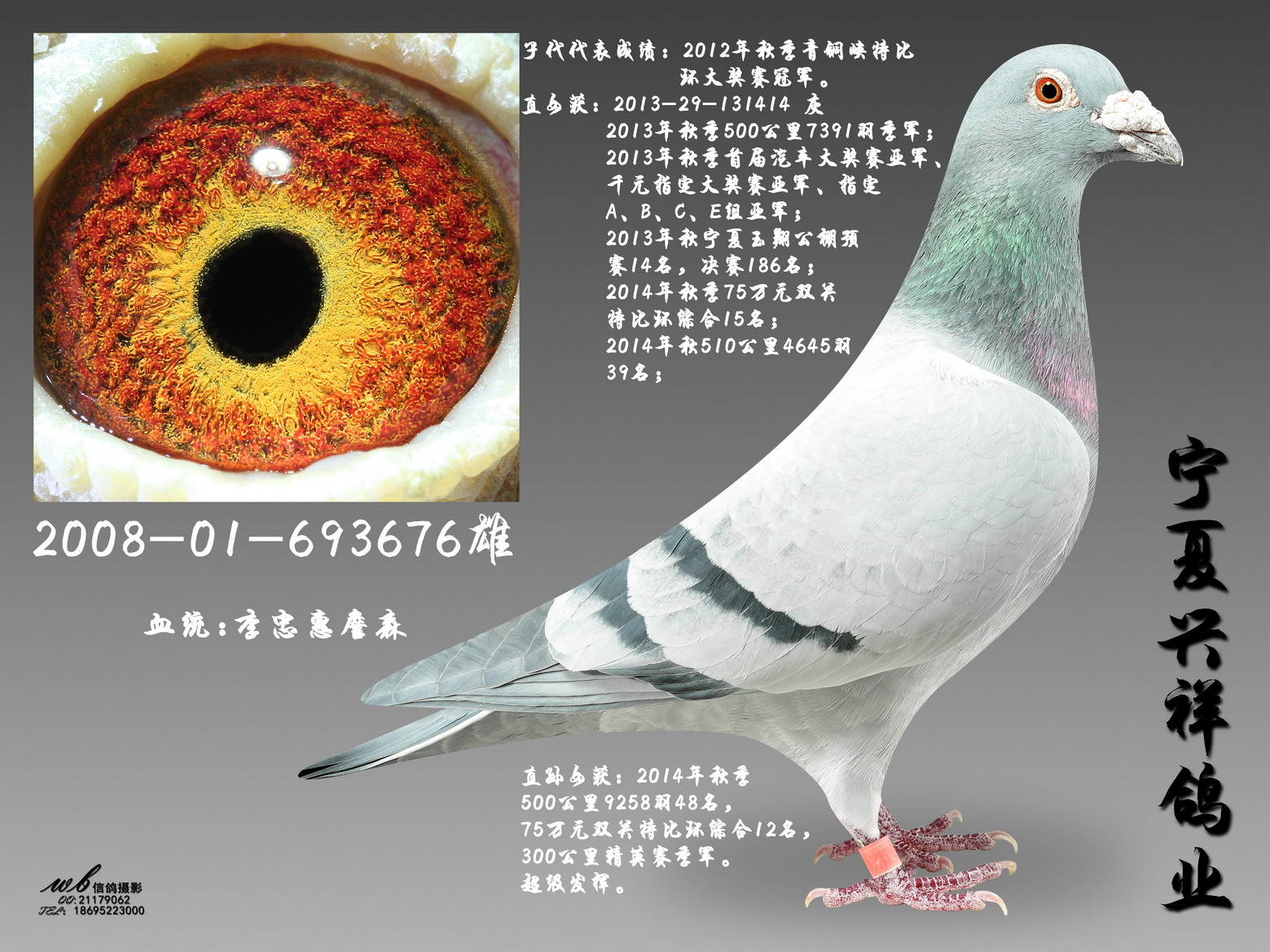波西瓦*波基直孙