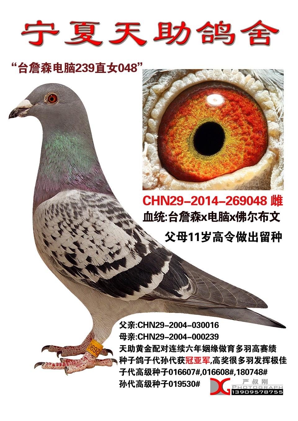 台詹森电脑239直女048_宁夏天助鸽舍_ ag188.com爱鸽
