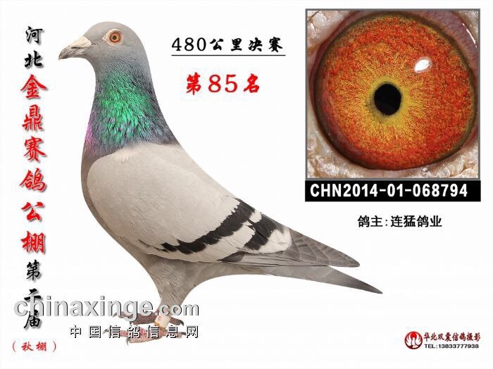 �ӱ����85��