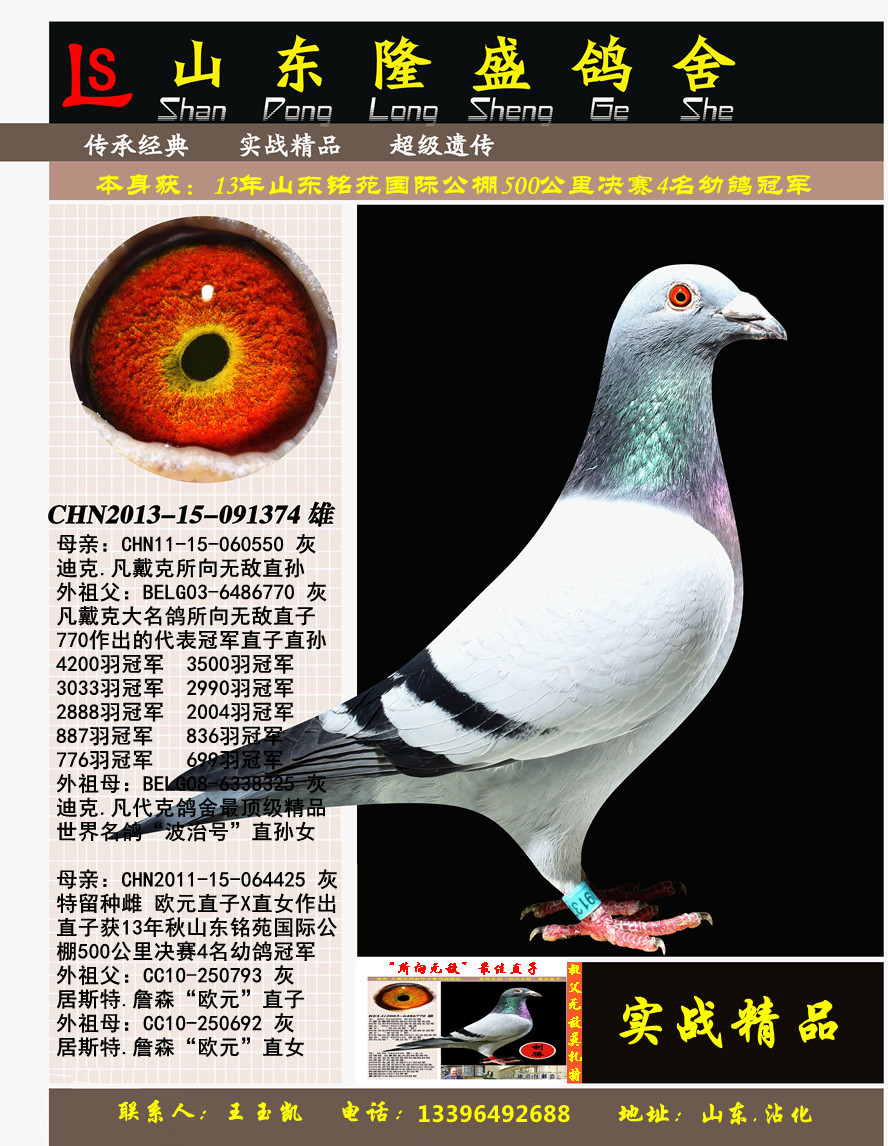 ��������׸�ھ�