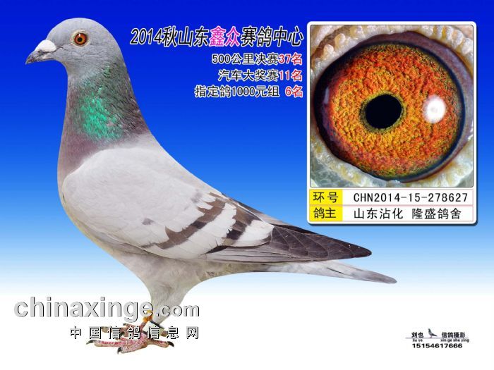 ɽ�����ڹ������37��