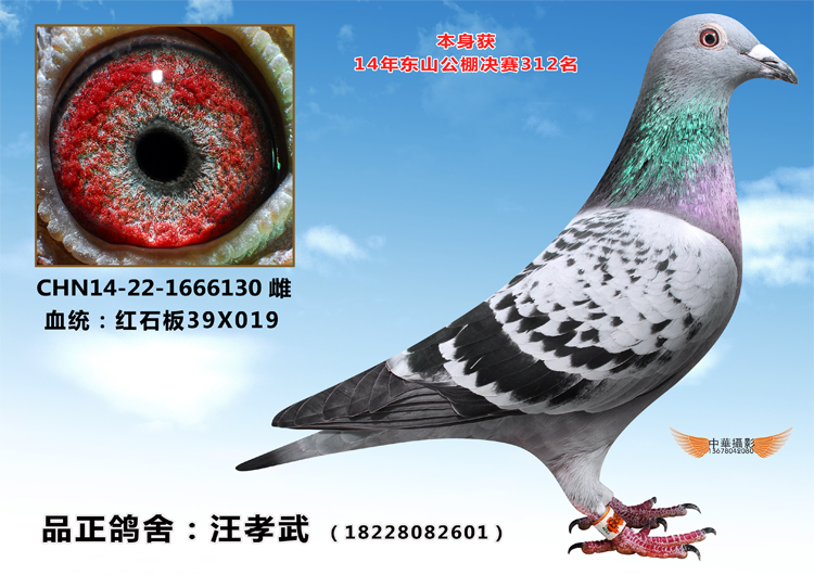 东山公棚312名