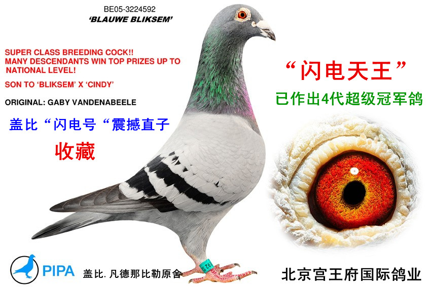 W̖𺳼ֱ