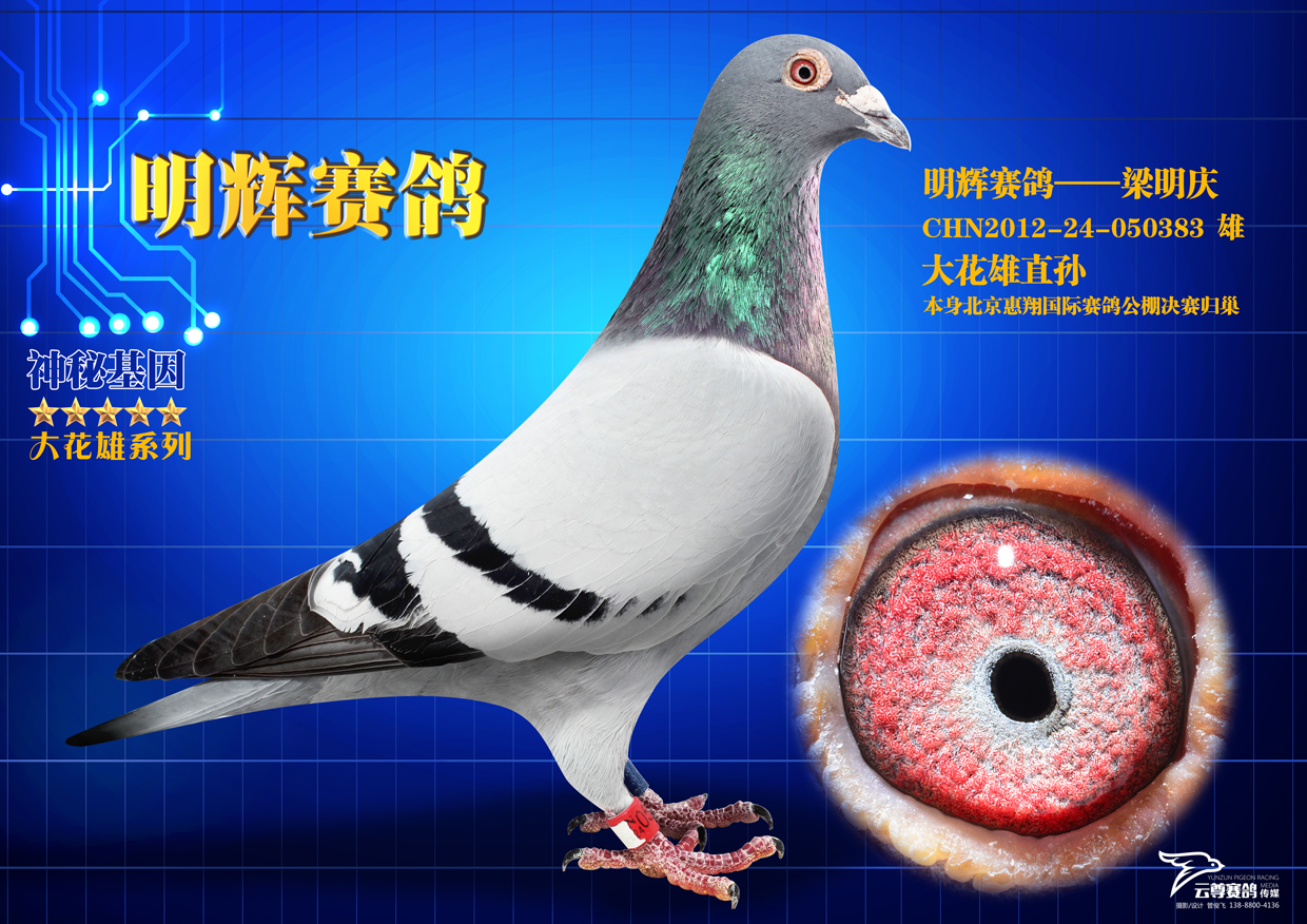 ֱO383
