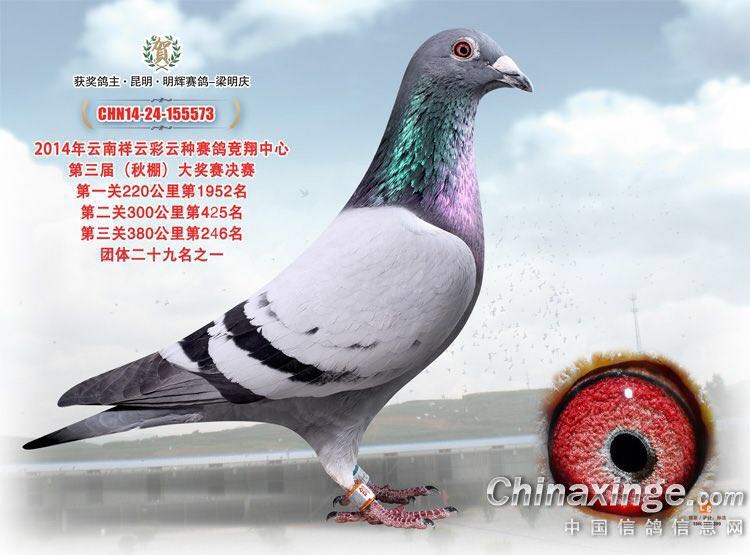 ֱO573