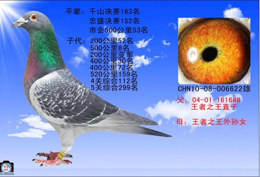 王者之王