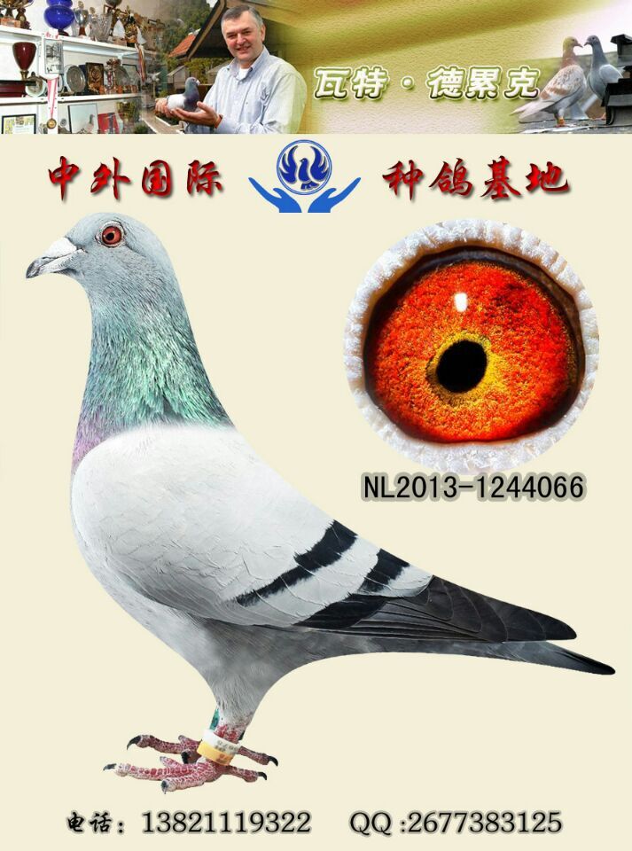 波西瓦原棚"俪影066"