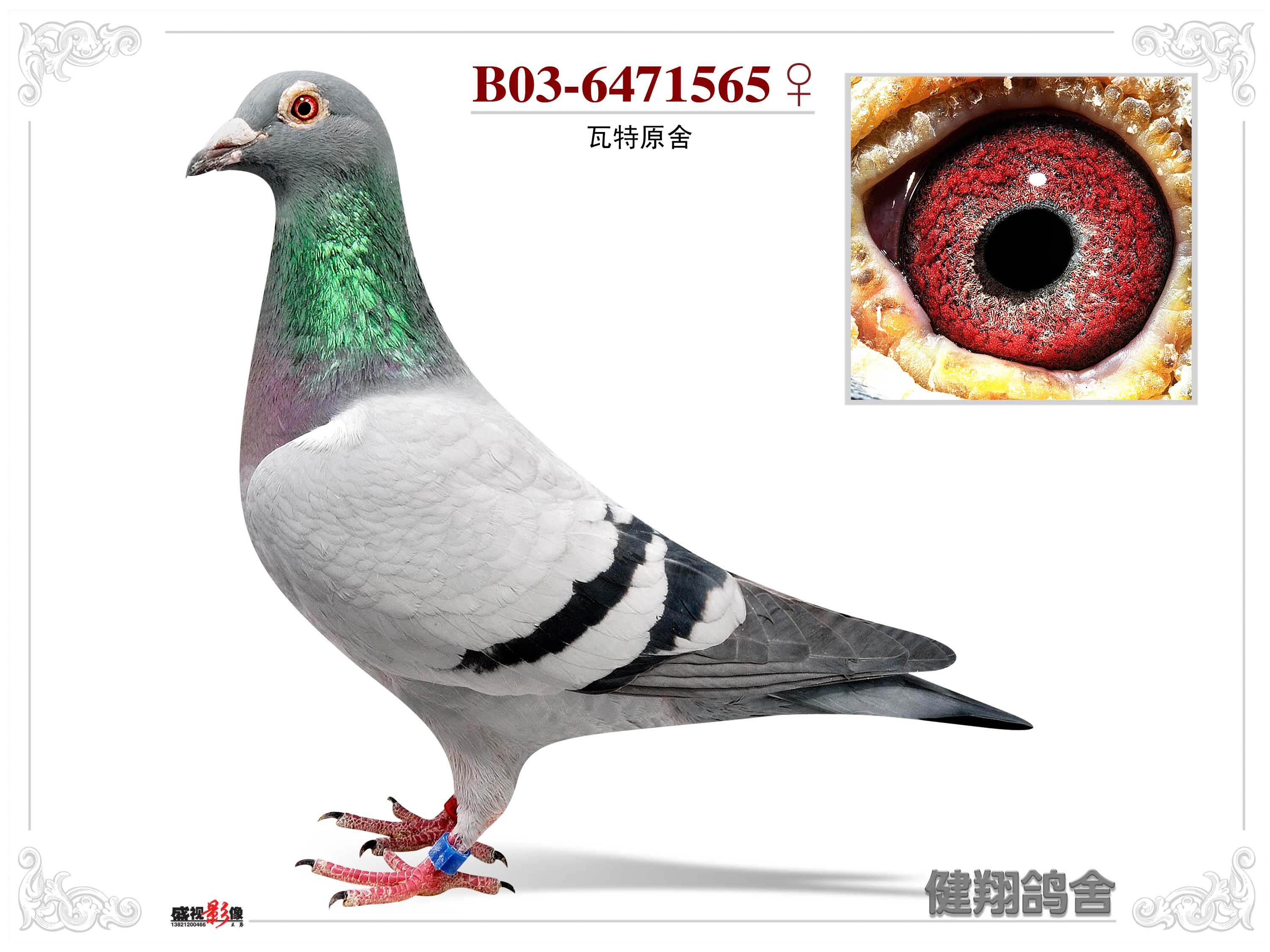 瓦特原舍