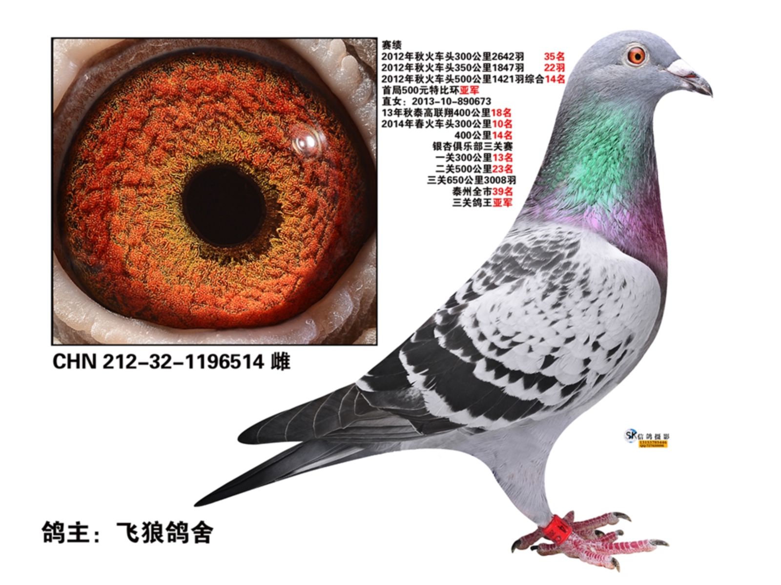 皇母娘娘:.2号女儿