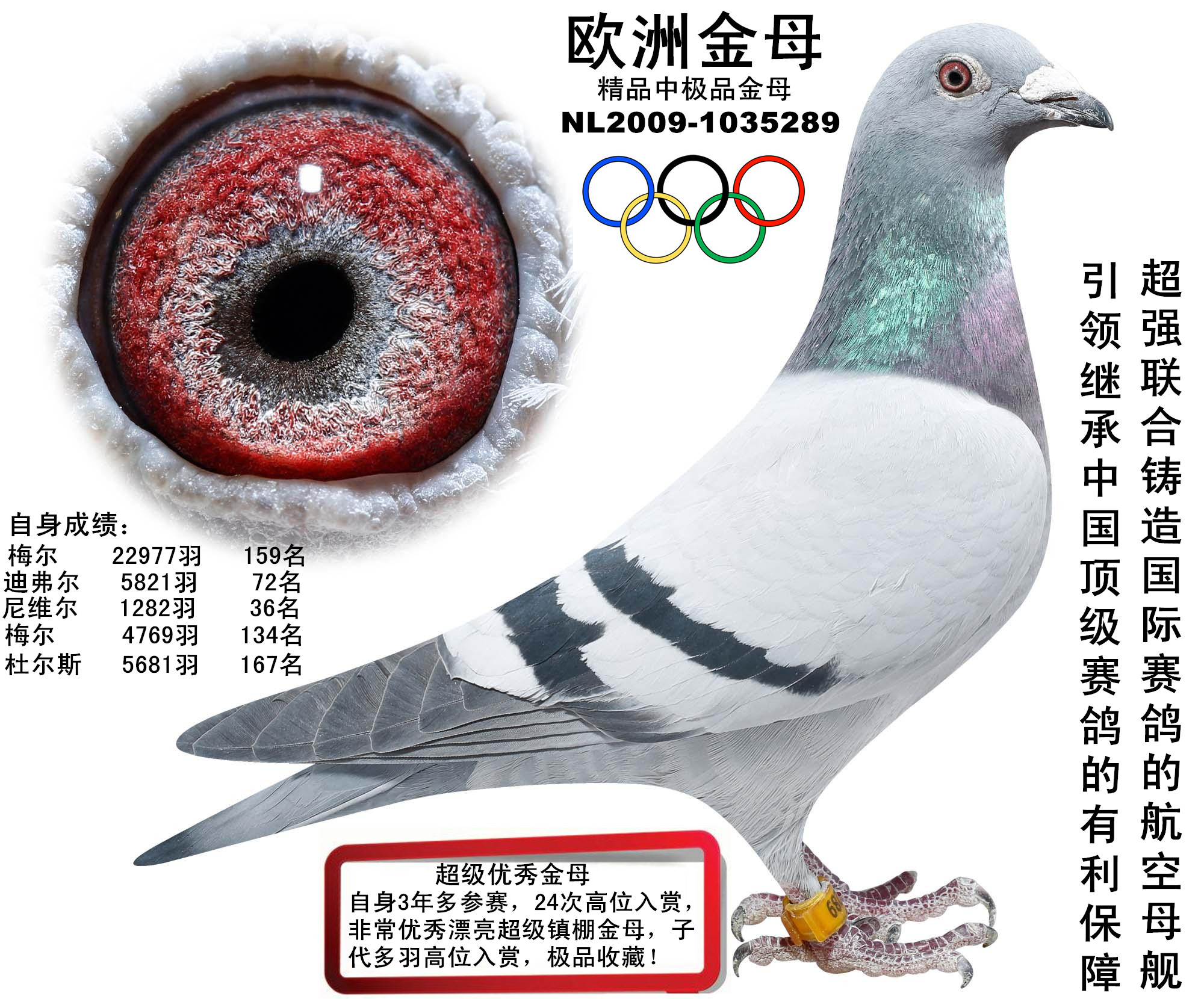 ŷ޽ĸ