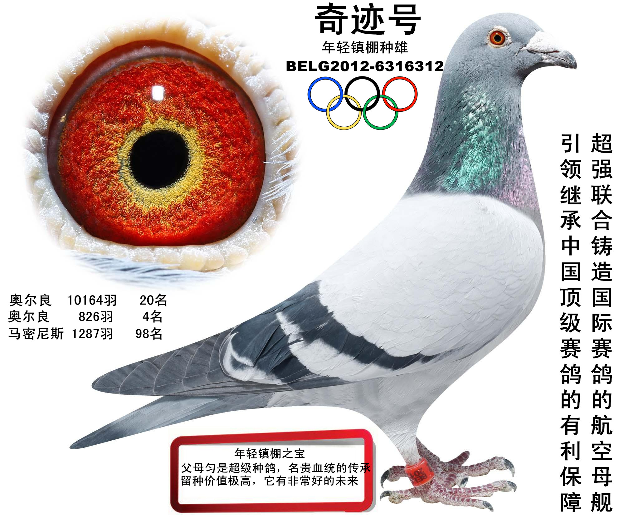 漣