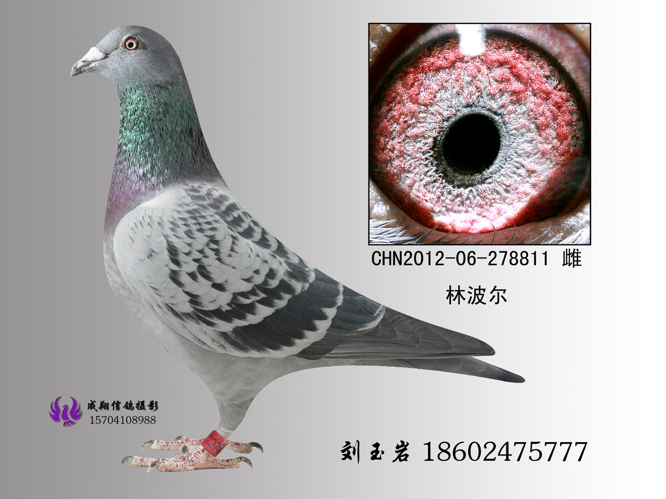 林波尔