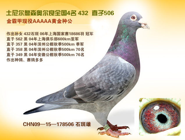 彼得米卫-大头灰—新奥尔良号之父