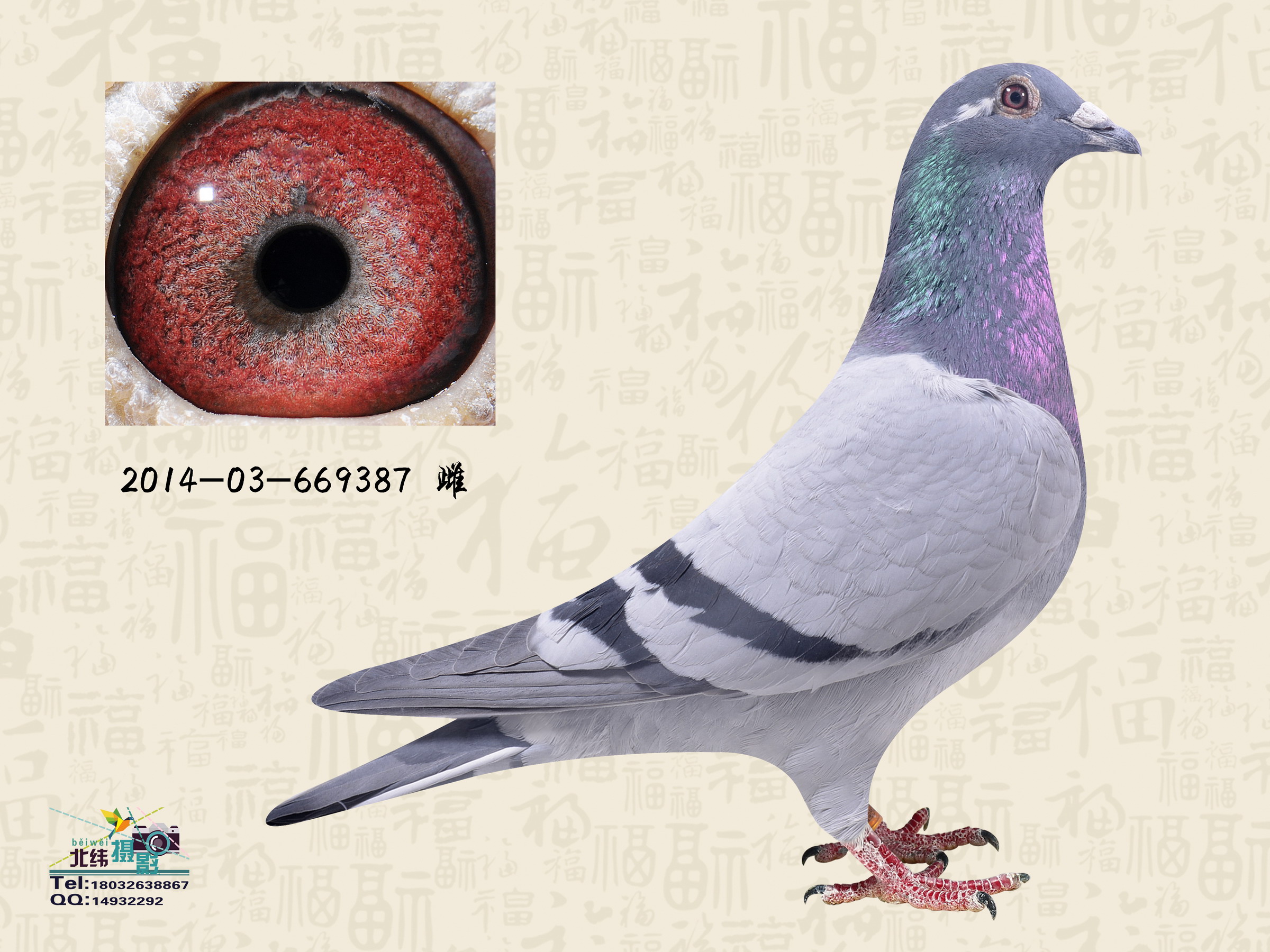 i-f(wn)387