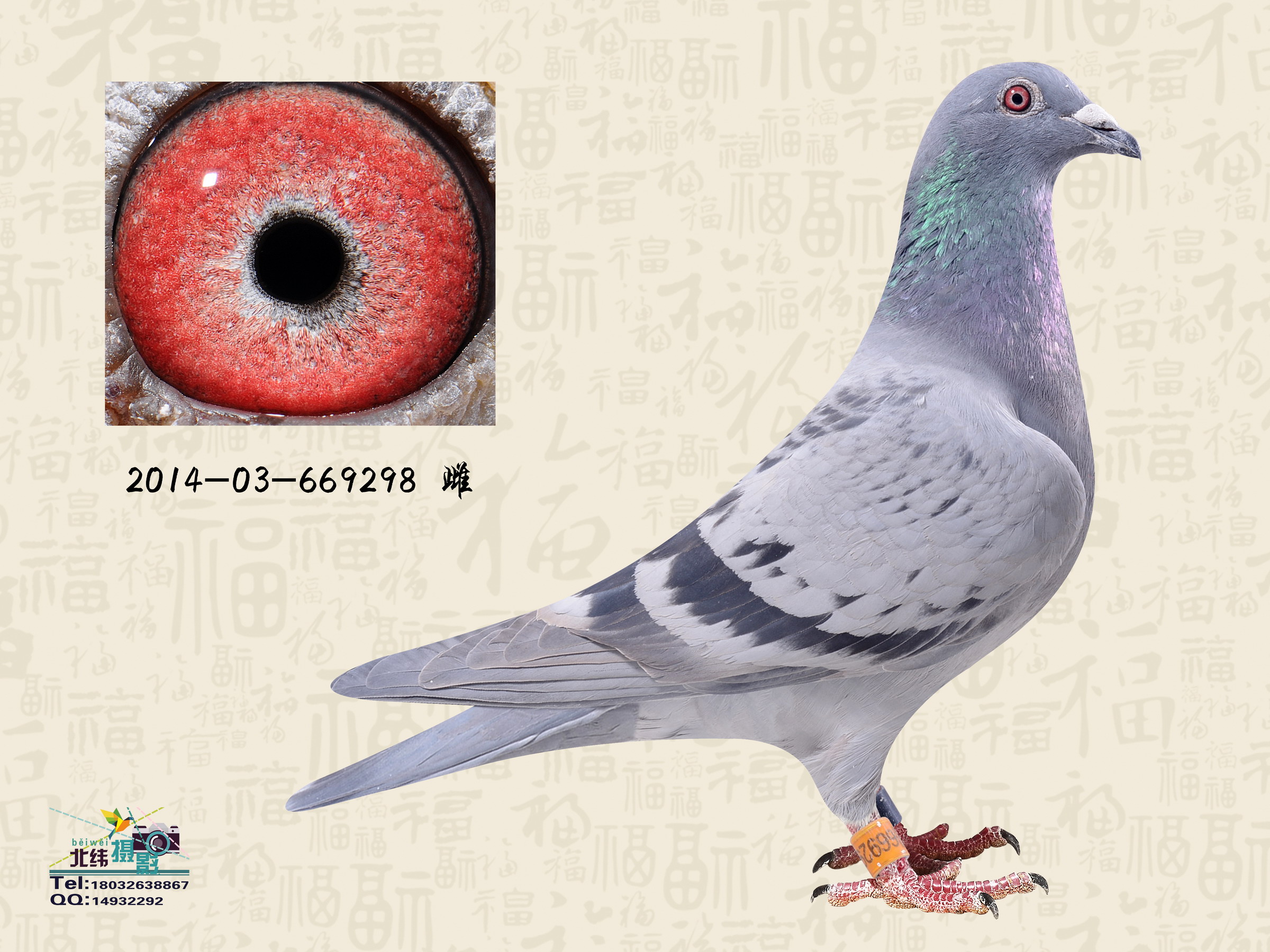 i衰ӈ(chng)