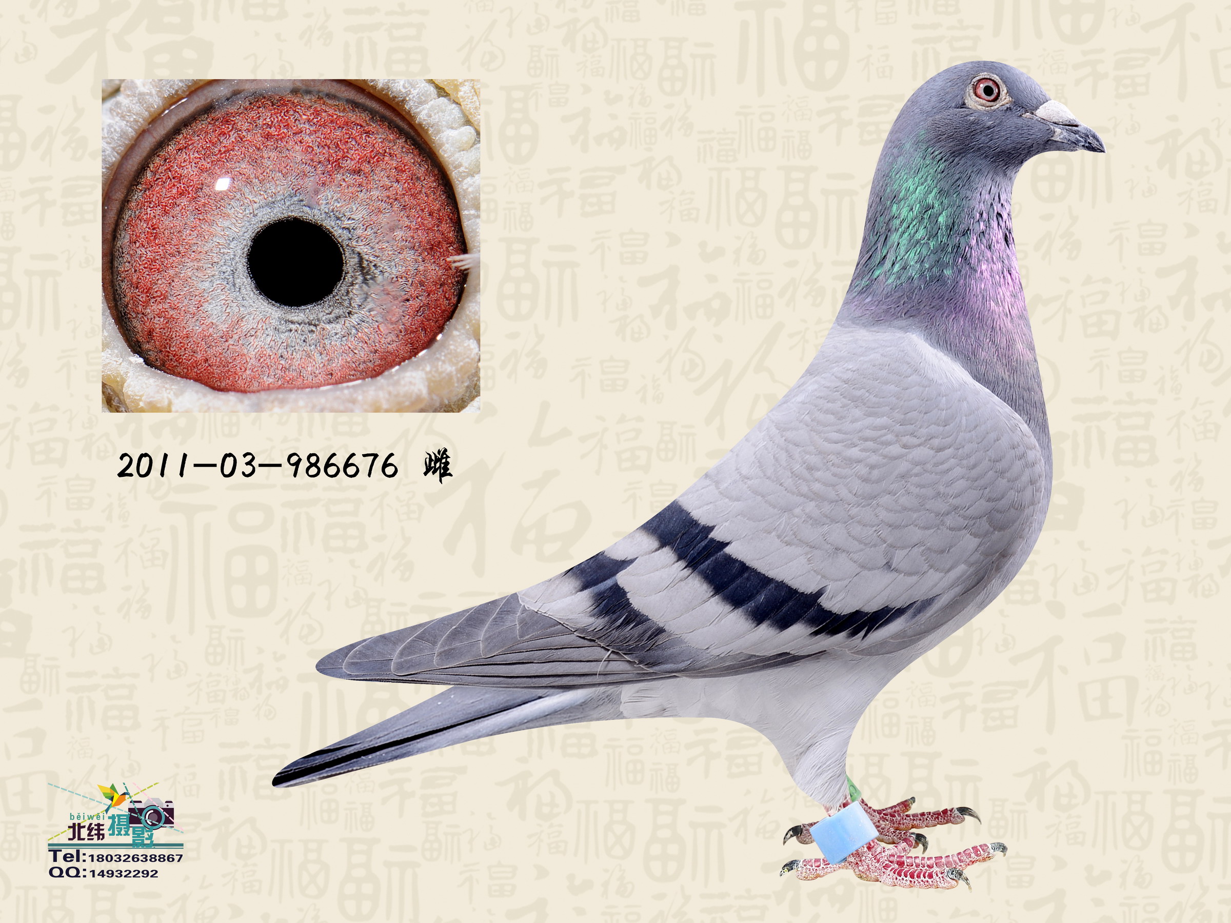 i衰676