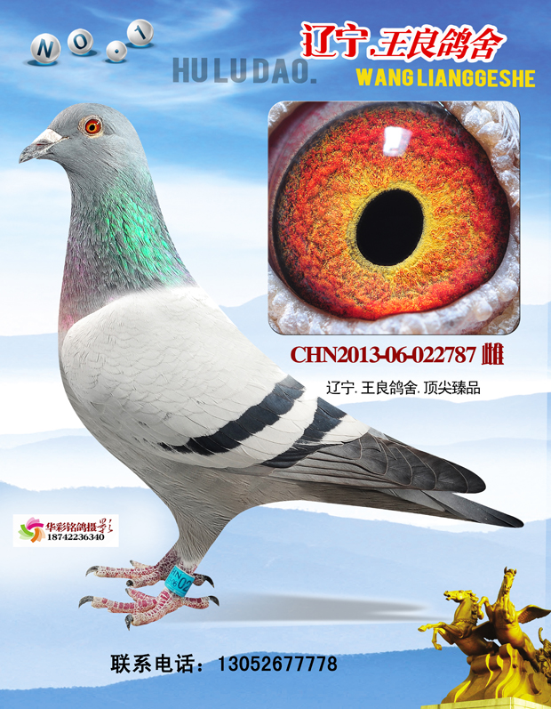 N