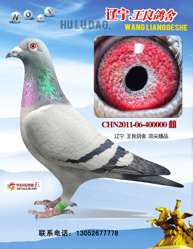 N