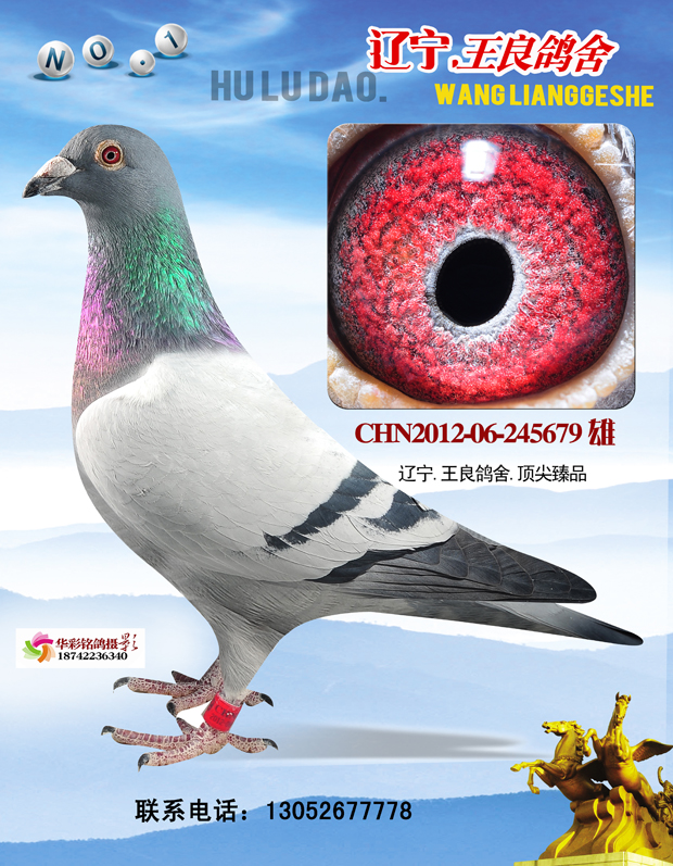 N