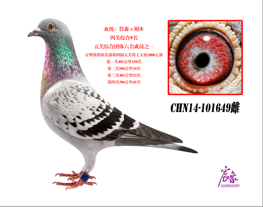 H36881357570.png