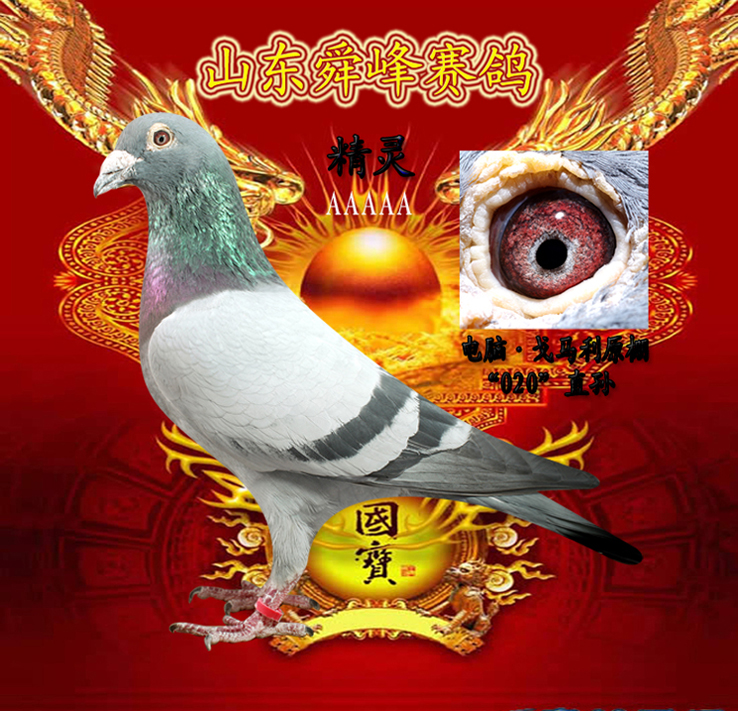 (zhn)֮`