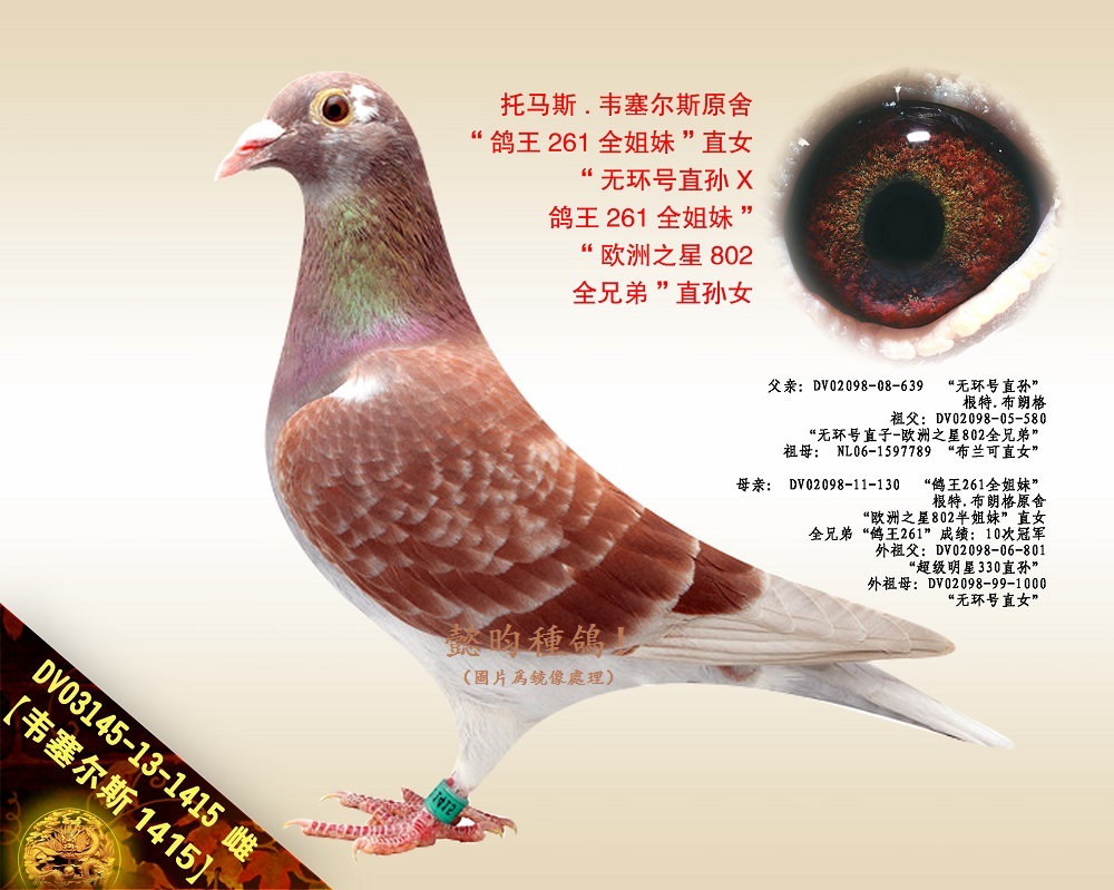 f˹1415261Ů