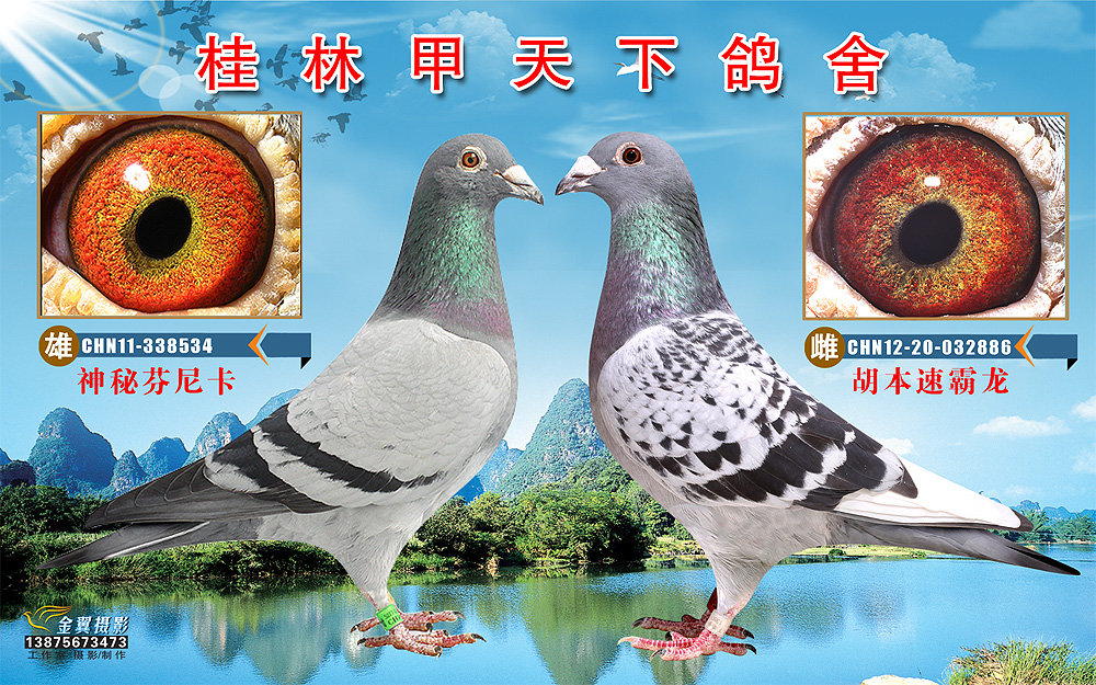 芬尼卡配对