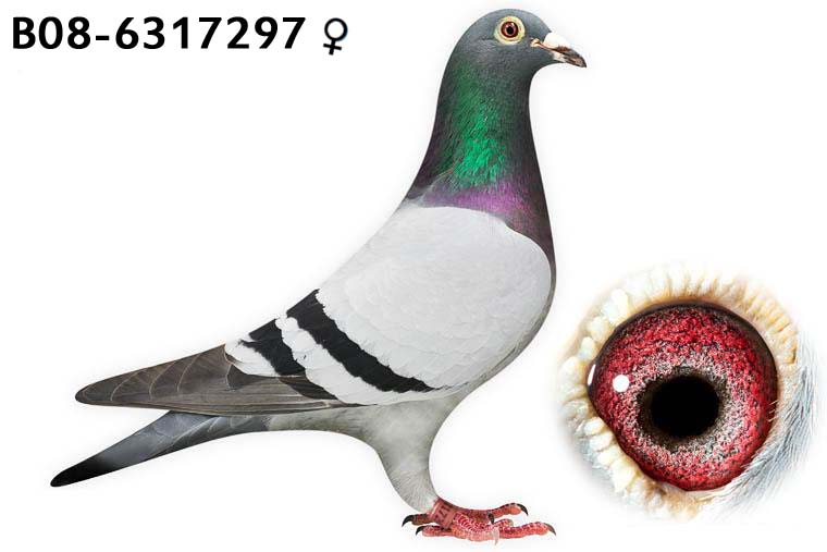 ����297