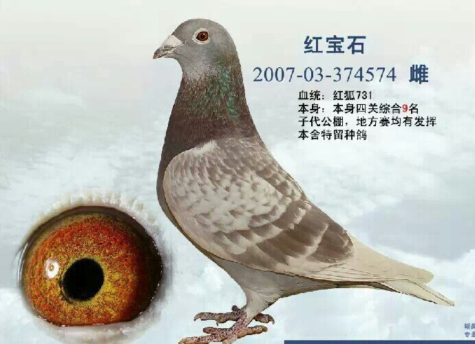 红宝石