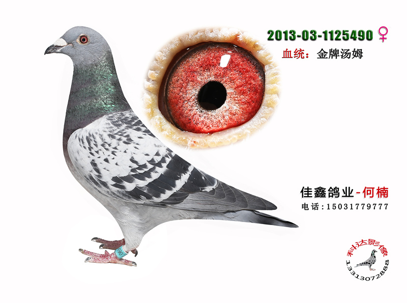 2013-03-1125490_金牌汤姆