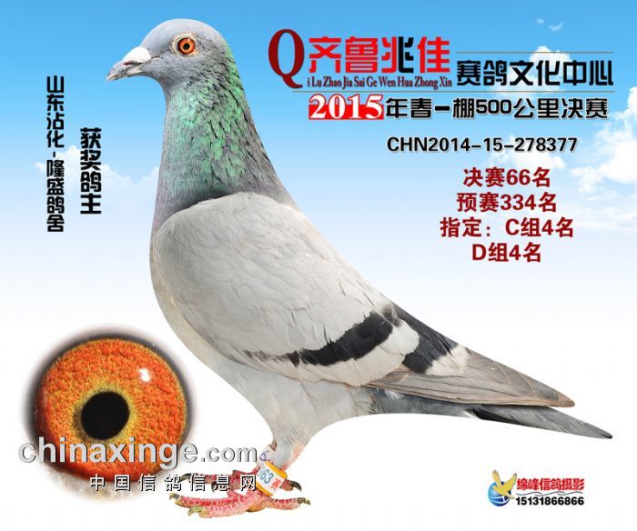 �׼ѹ������66��