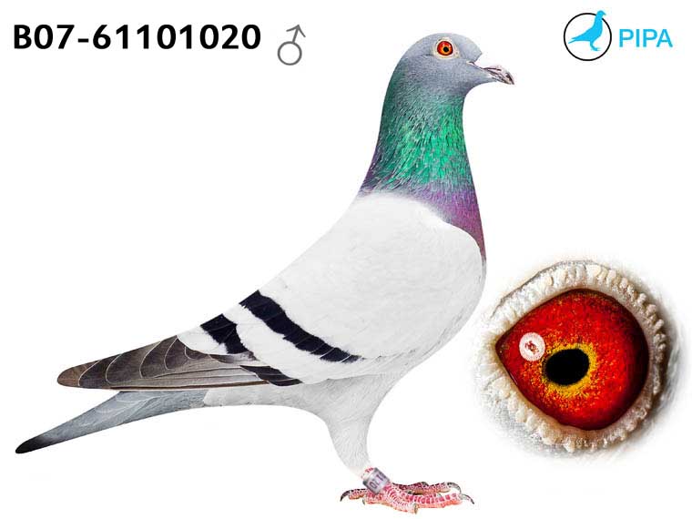 ˹120