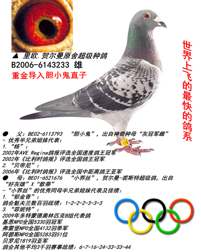 (j)NđСֱӡ