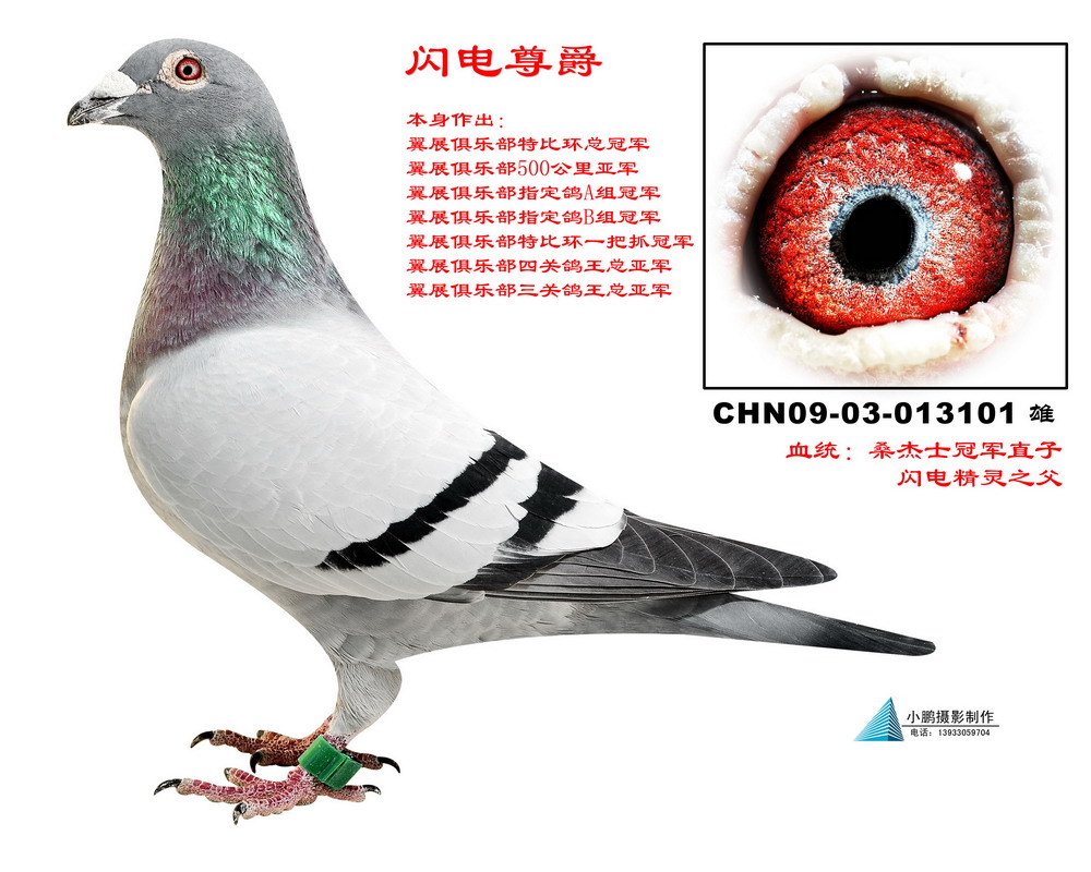ɣʿ W S䌦(du)
