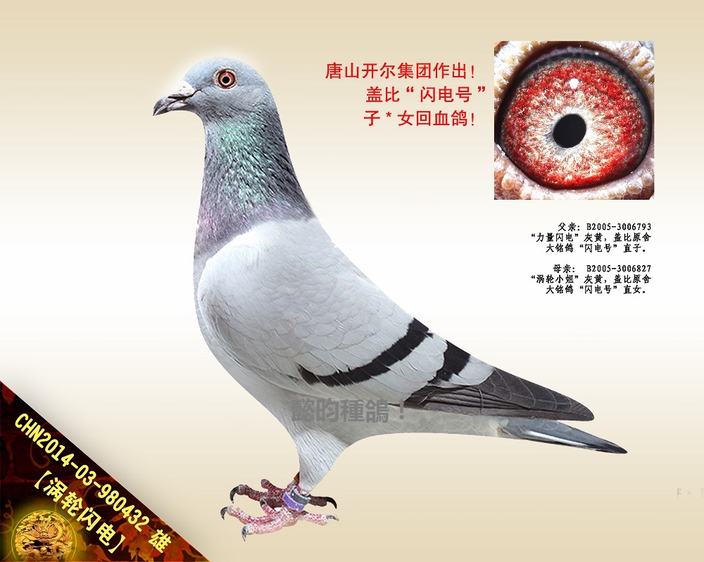 u݆W늡W̖(ho)ѪֱO