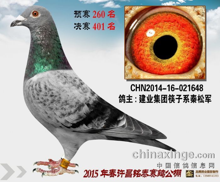 S̩Qِ401