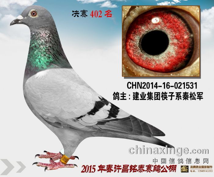 S̩Qِ402