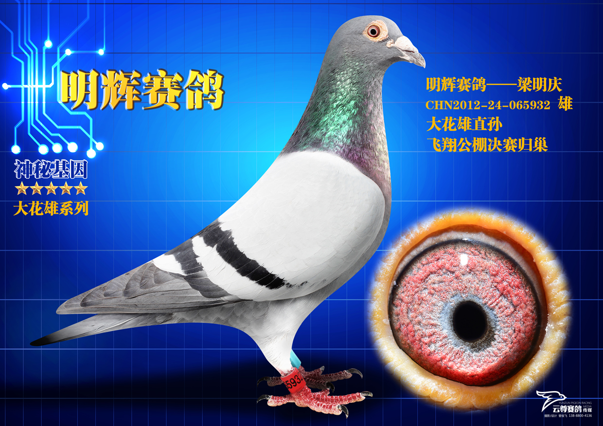 ֱO932