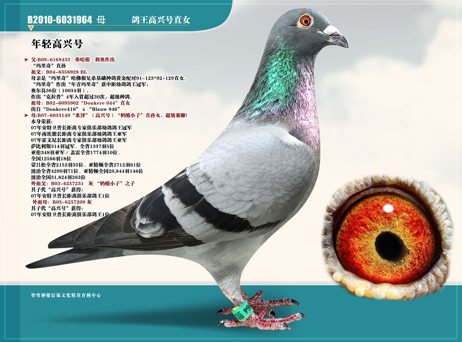 �������dֱ̖Ů