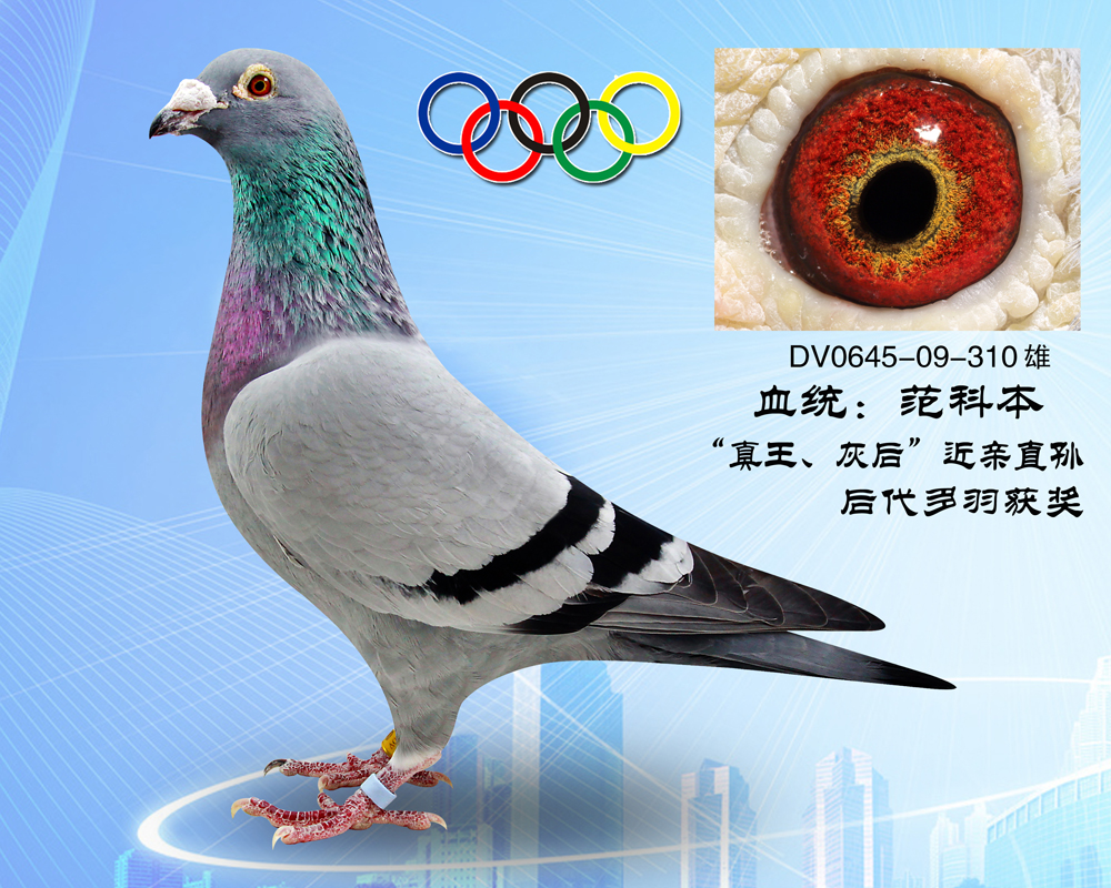 ƱҺֱO  