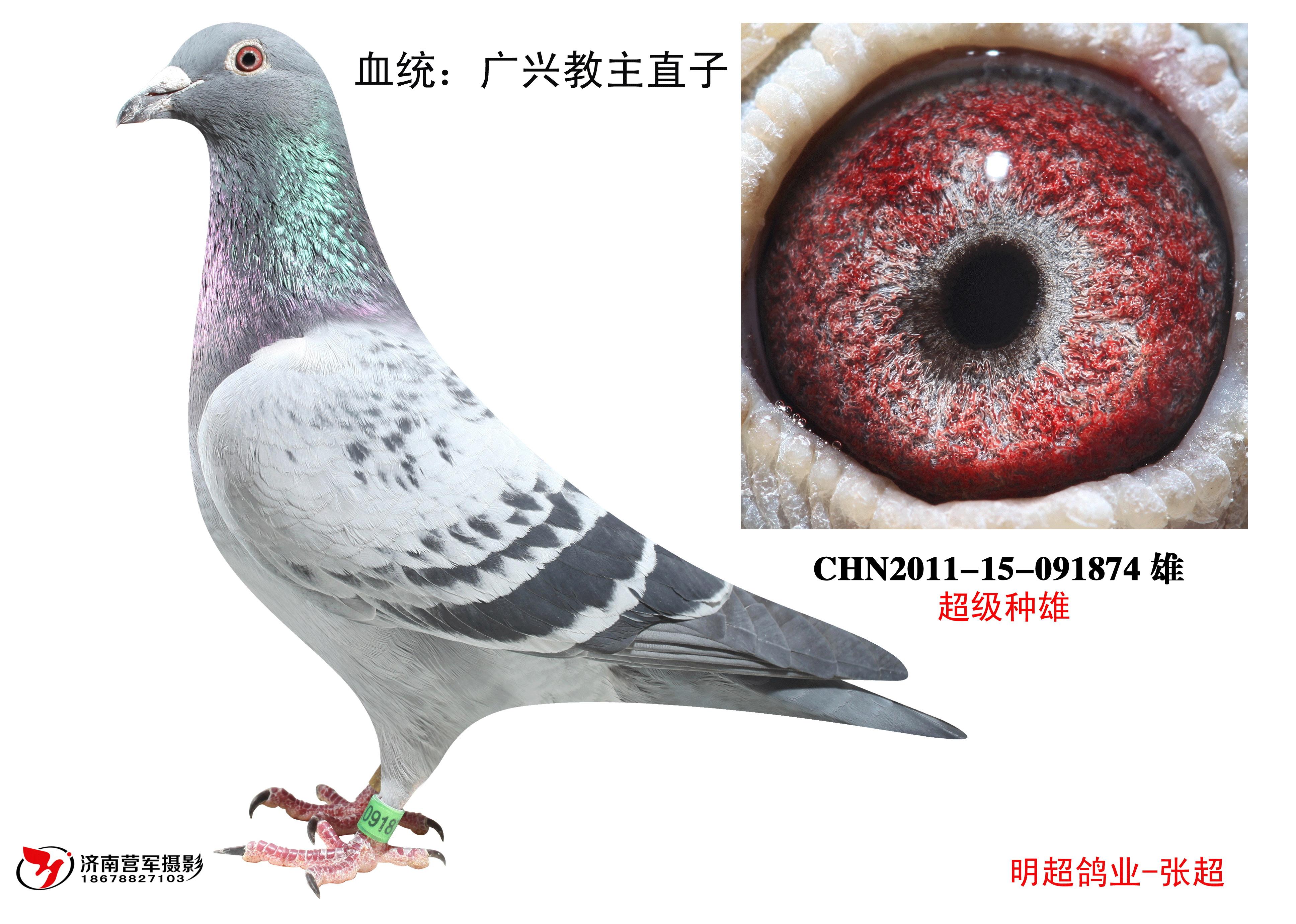 霍夫肯—广兴教主直子